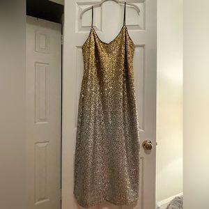 NWT Ombré Sequin Slip Dress